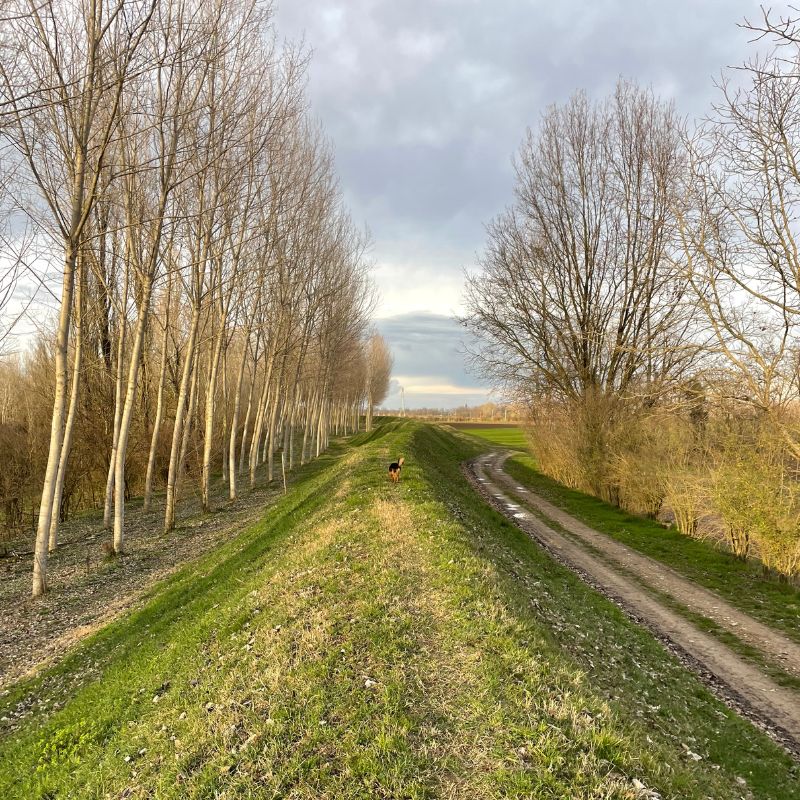 Agriturismo-Antica-Golena-Cristina-Boschi-Guastalla