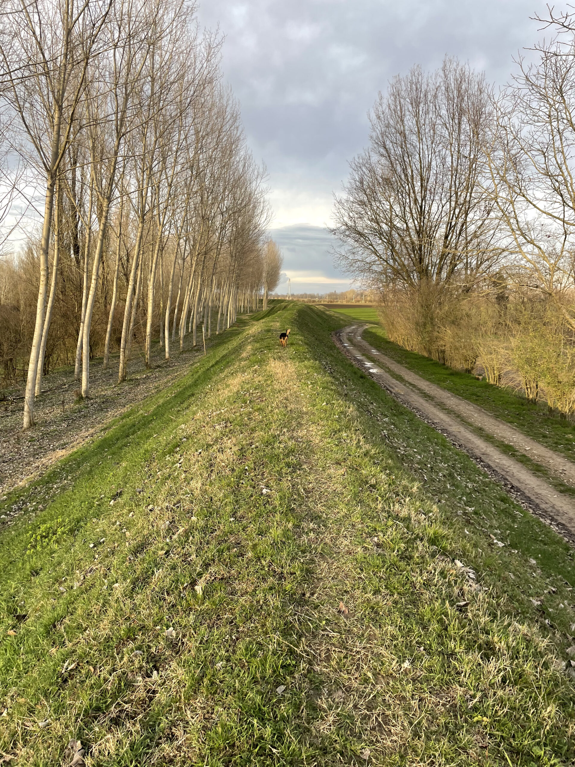 Le Golene - agriturismo antica golena guastalla